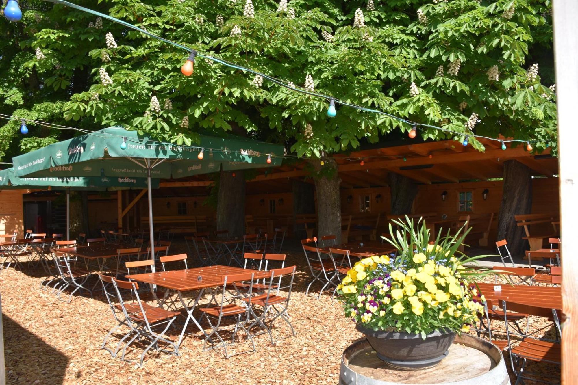 Guest house Und Halli-galli